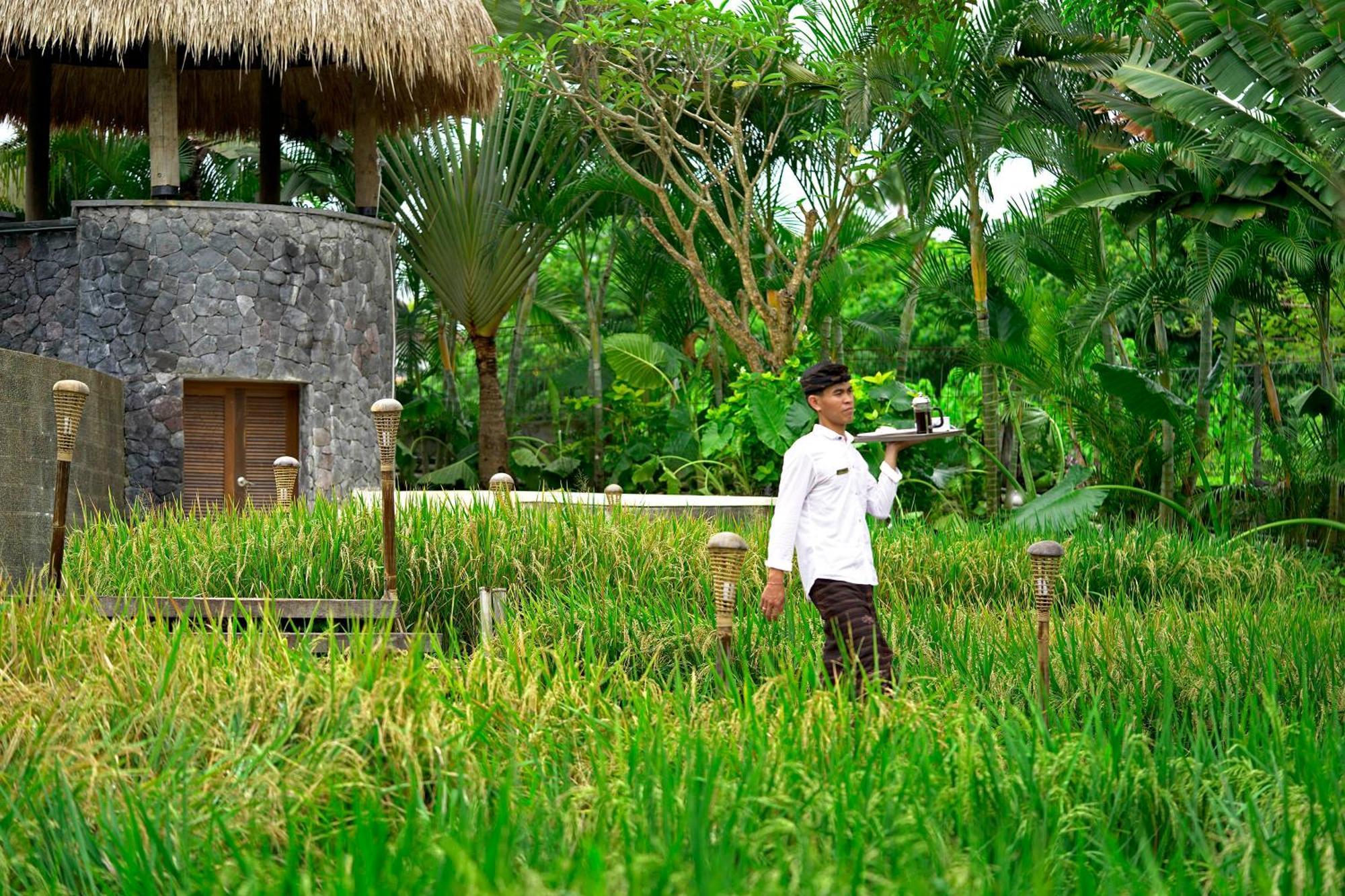 Lalasa Villas Canggu 외부 사진